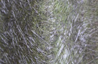 Pwll Trap fibreglass roof work