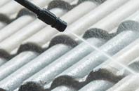 rated Pwll Trap roof cleaning companies